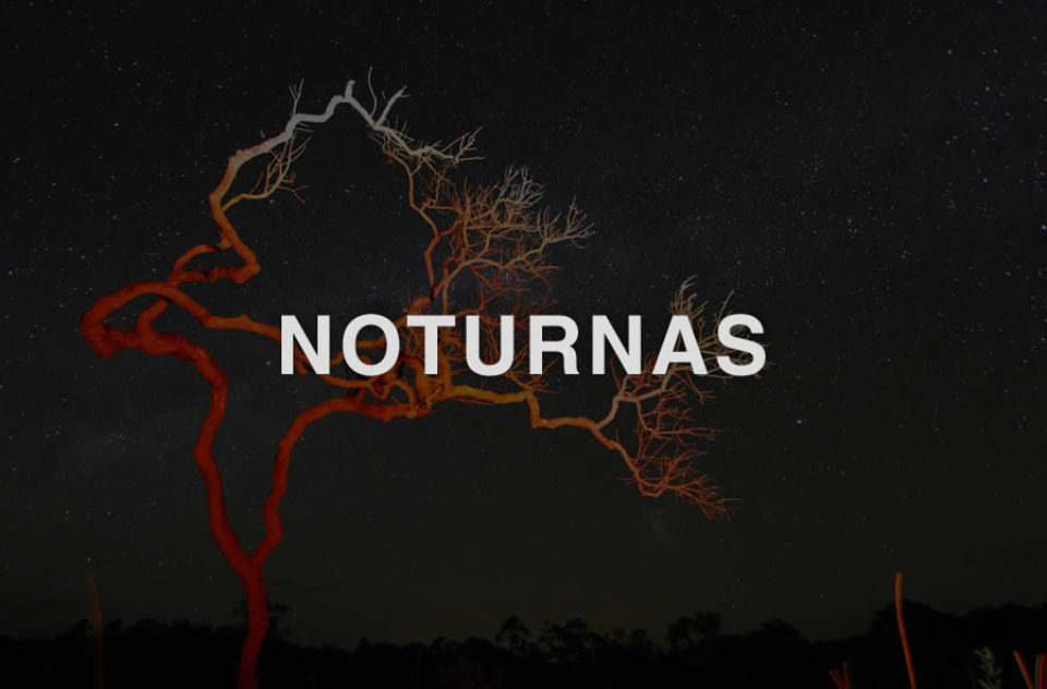 Noturnas